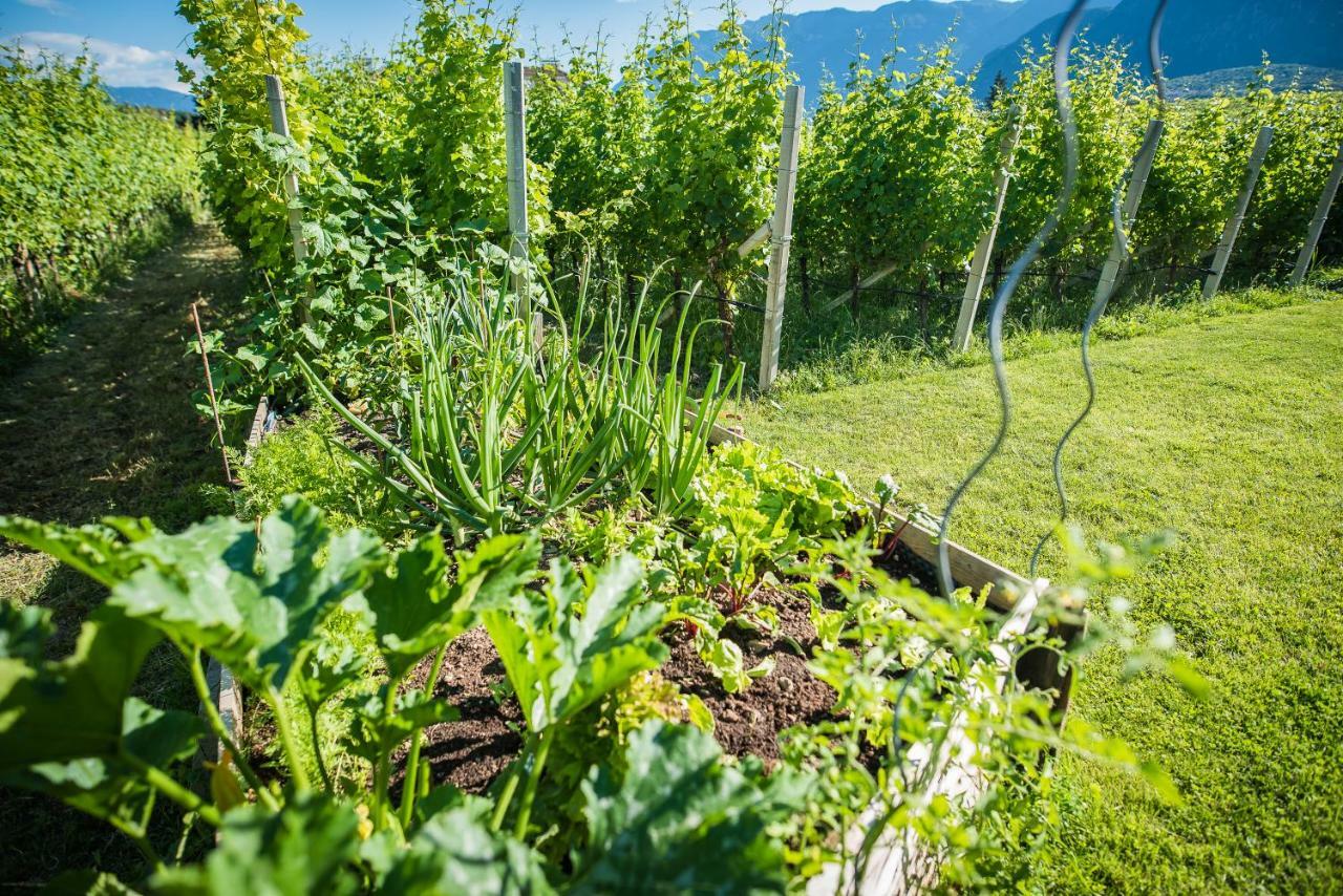 Apartament Lochererhof Appiano Sulla Strada Del Vino Zewnętrze zdjęcie